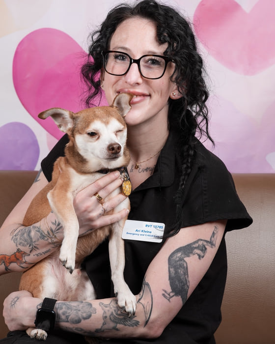 Ari Kleine in emergency and critical care scrubs, holding a chihuahua. Her hospital badge reads RVT 15785.